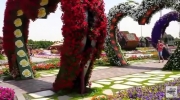 Цветочный Сад Чудес в Дубае. Видео